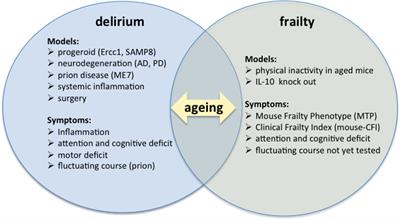 Is Delirium the Cognitive Harbinger of Frailty in Older Adults? A Review about the Existing Evidence